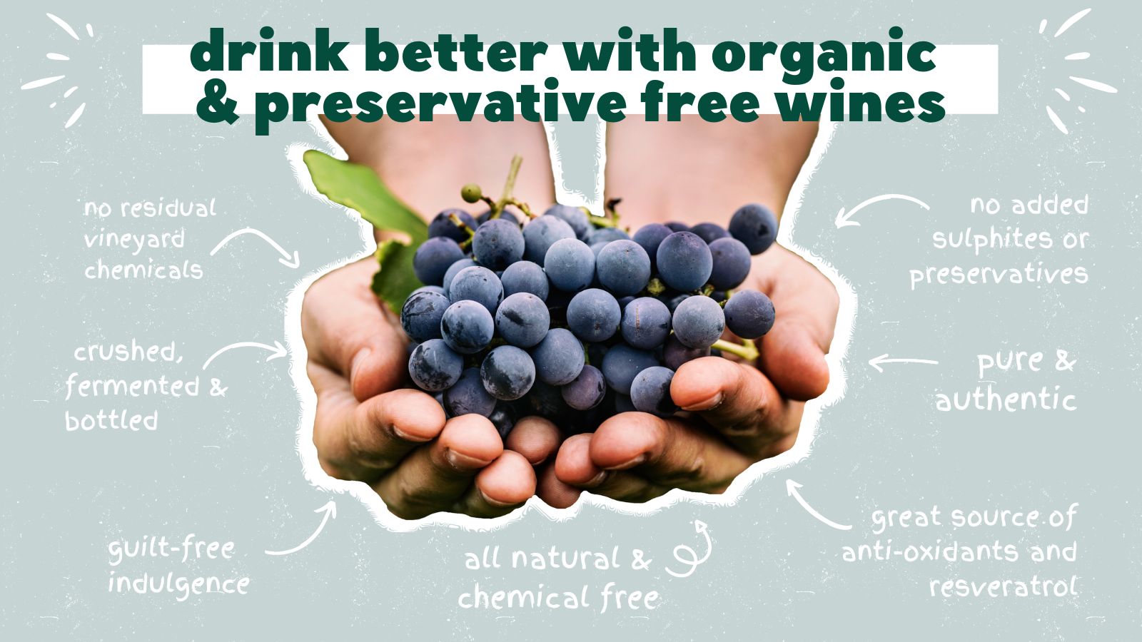 TOP 10 reasons you should be drinking organic and preservativefree wines